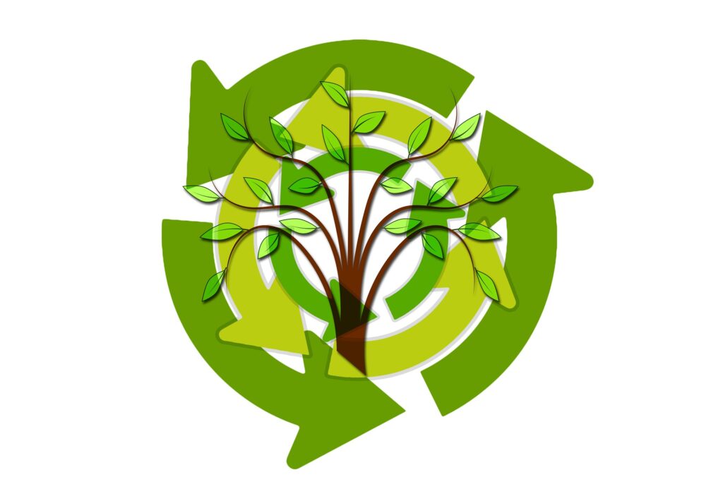 circular economy sustainable